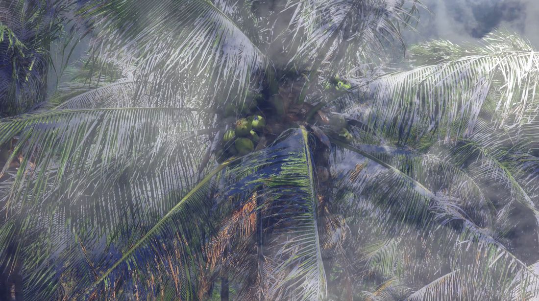星星
