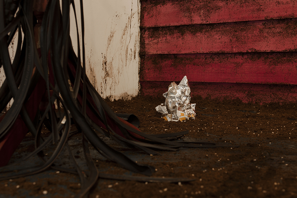 There Is a Light That Enters Houses With No Other House In Sight