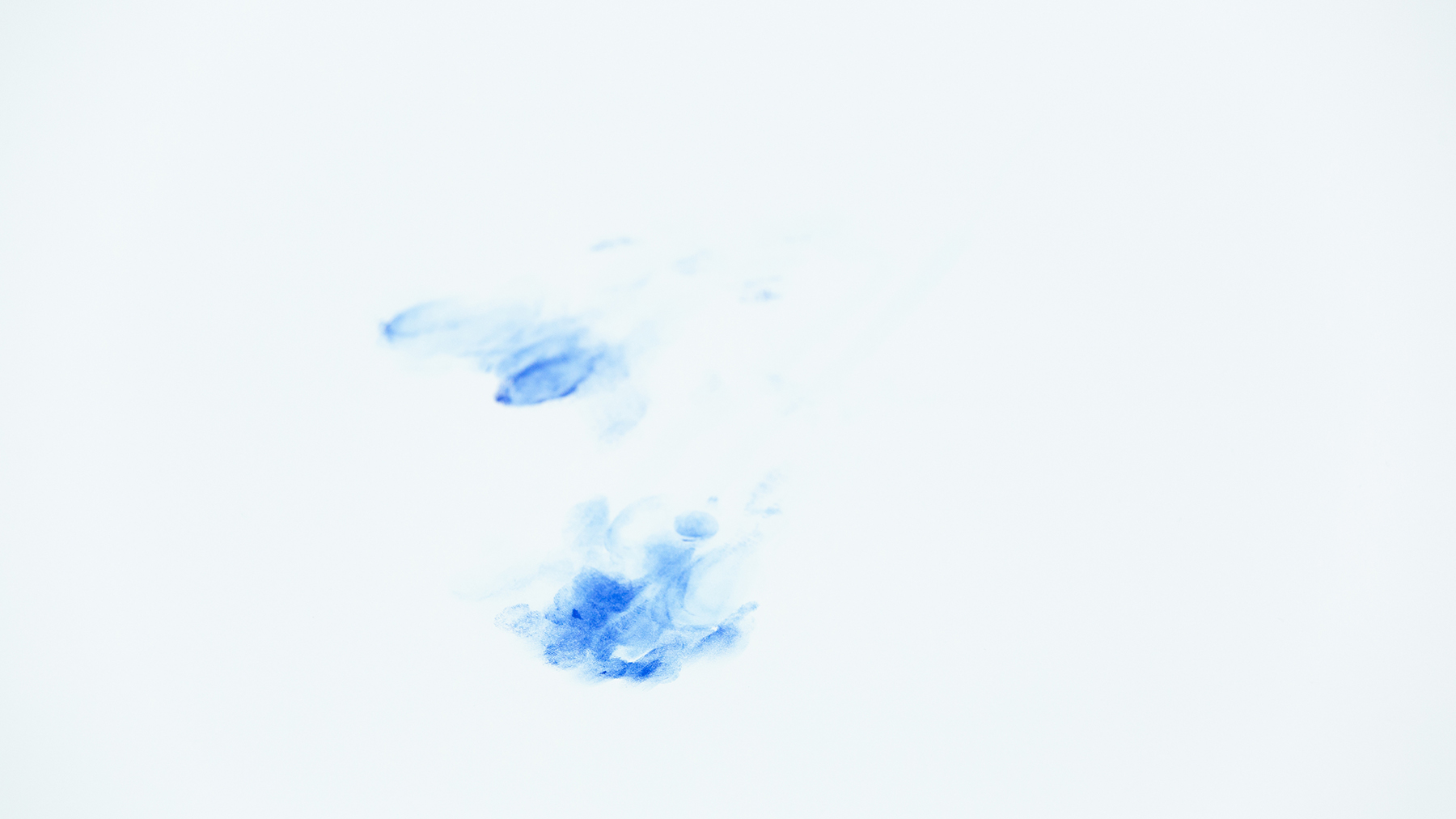 Animalized