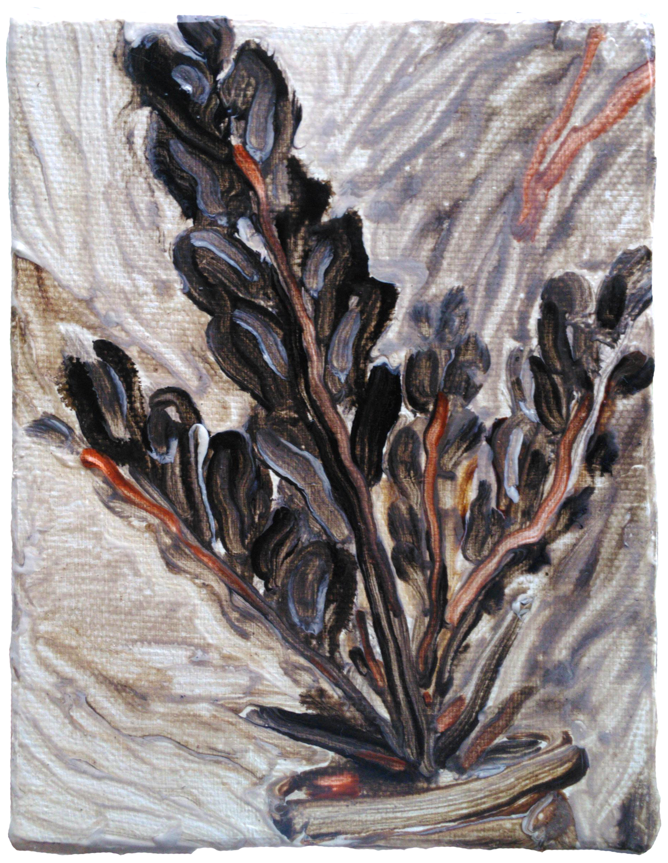 04_Zamioculcas2_oil-on-canvas_17.5x14cm_2018_1340_c