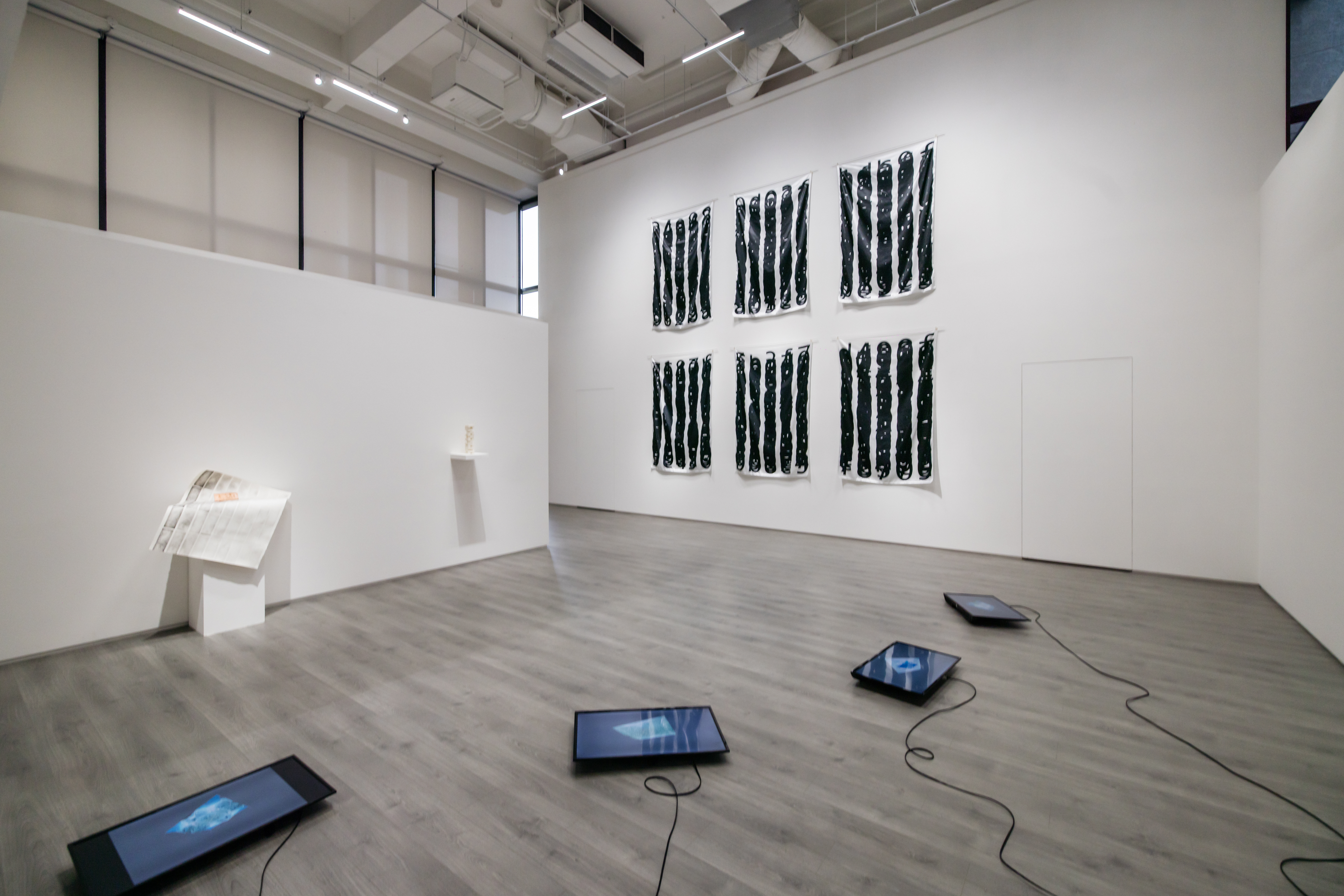 親愛的博拉克·陳