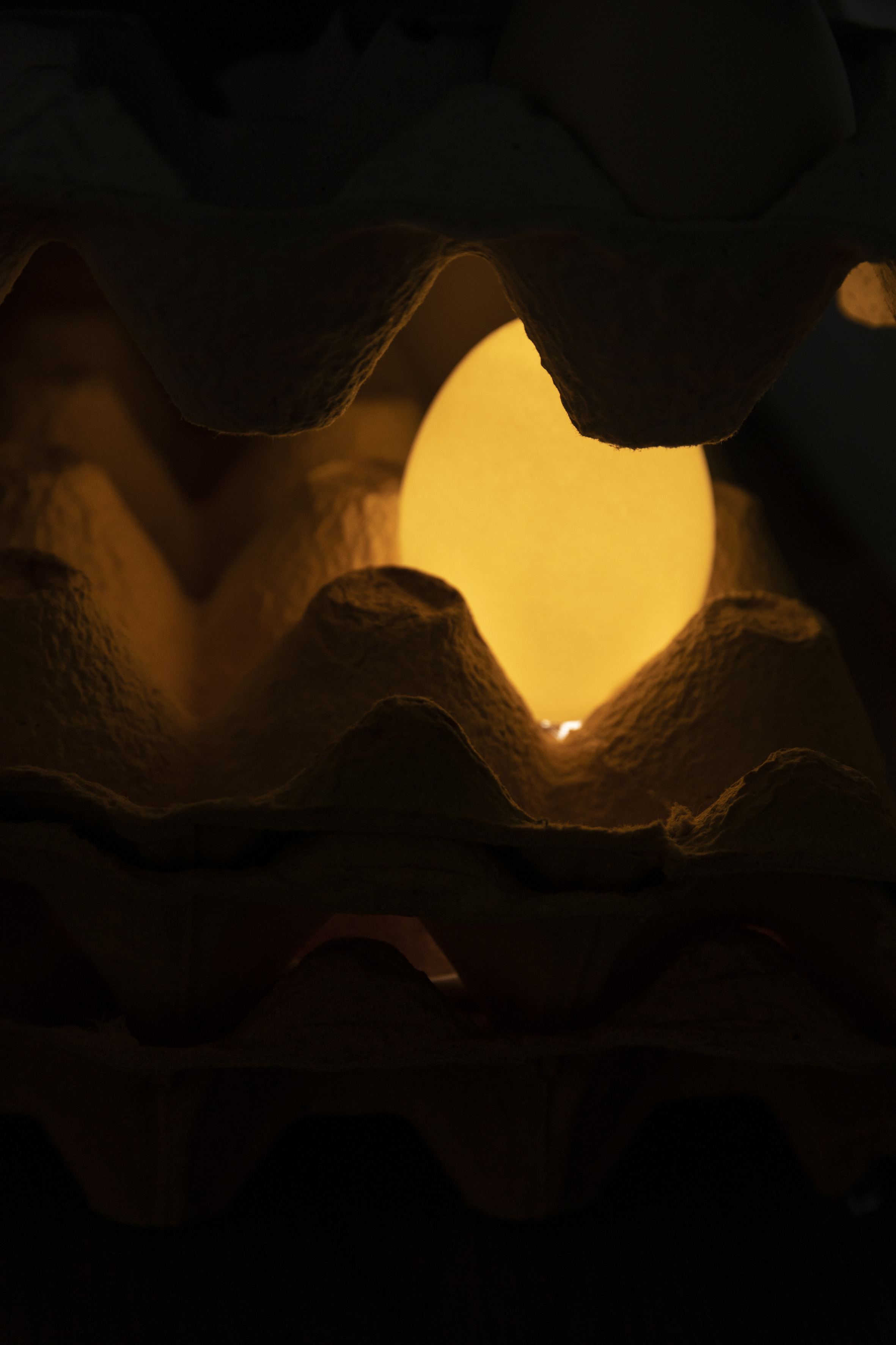 0C3A7139_1