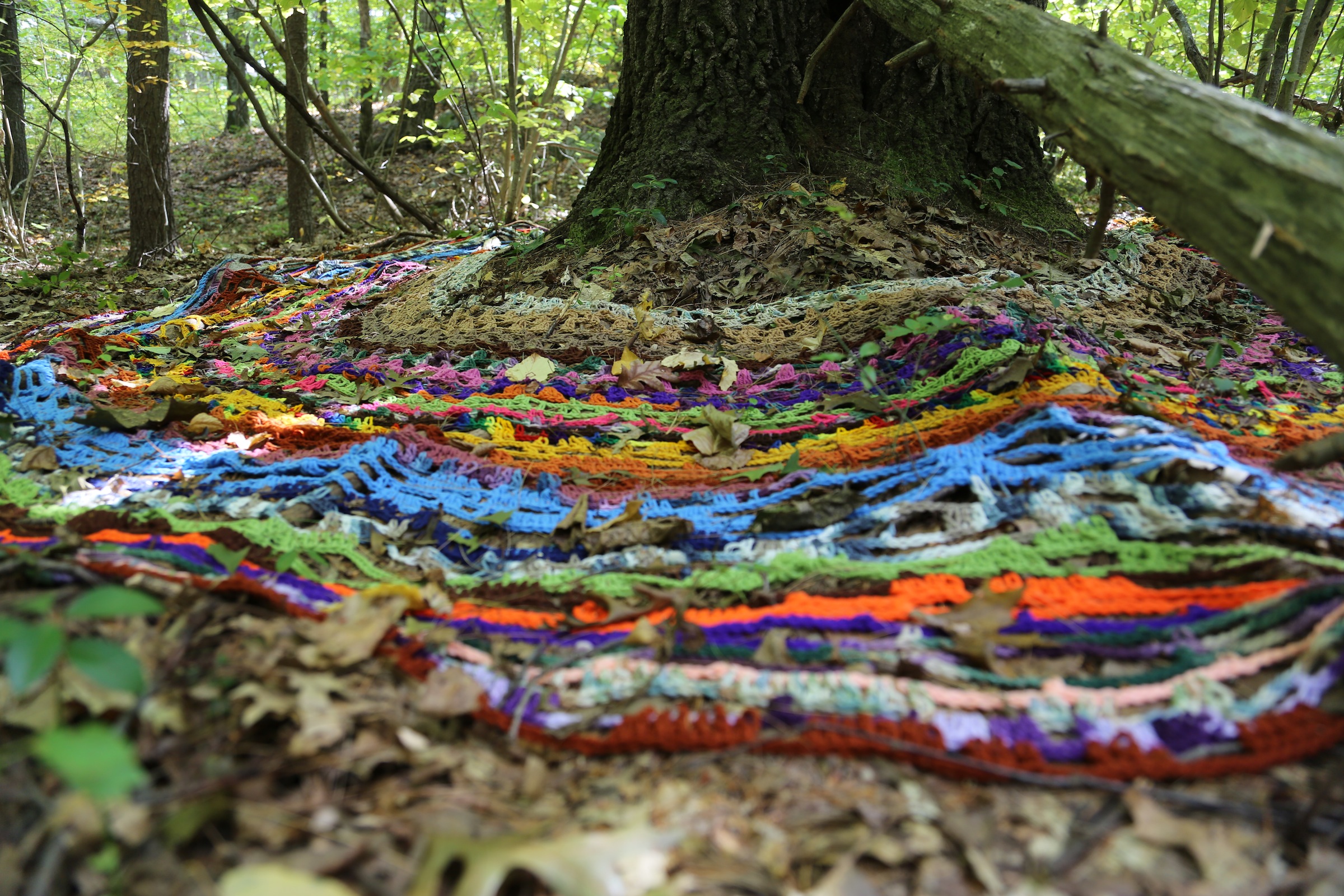 10560944035_4692506075_o