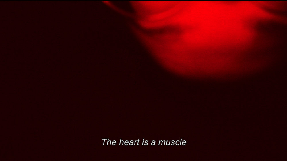 14_1