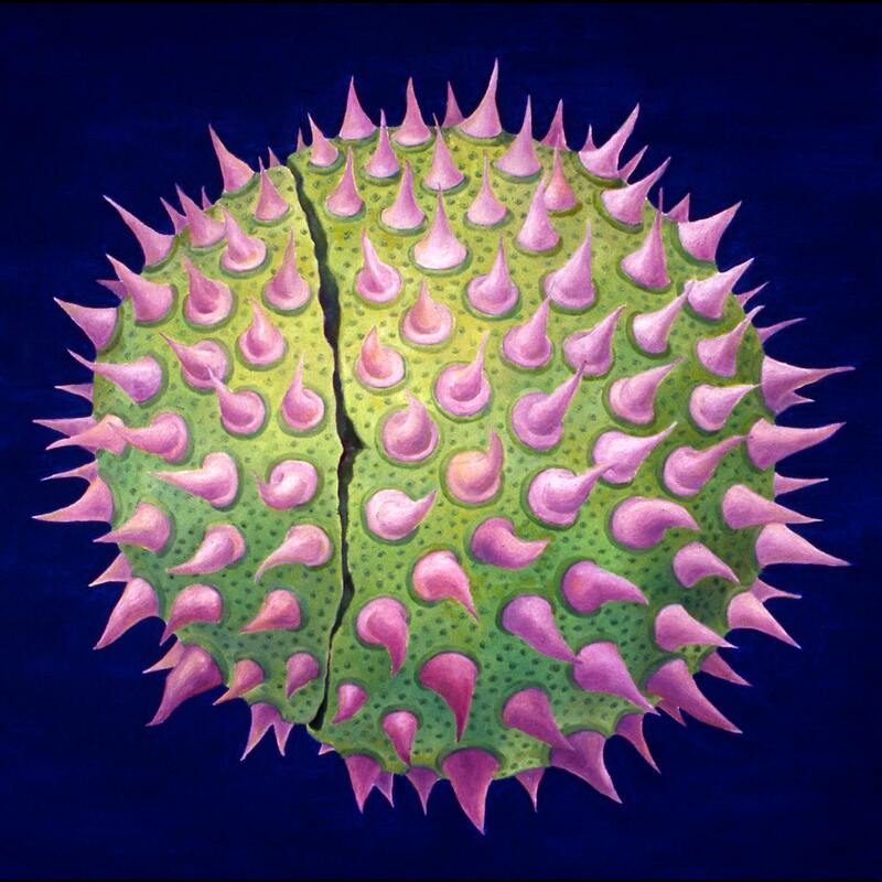 1999-conker-2_orig