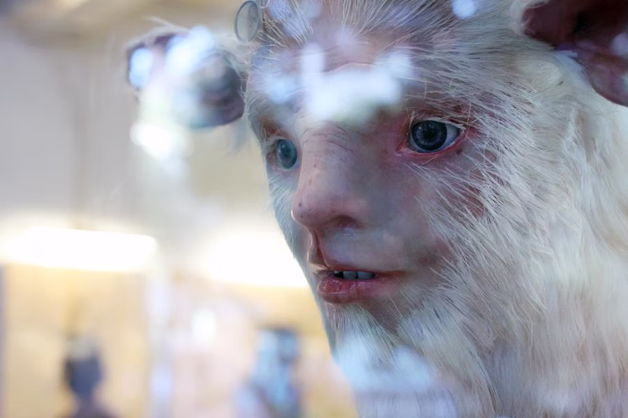 1c2af4_e43ba5c25b3748109454a768907f7205~mv2