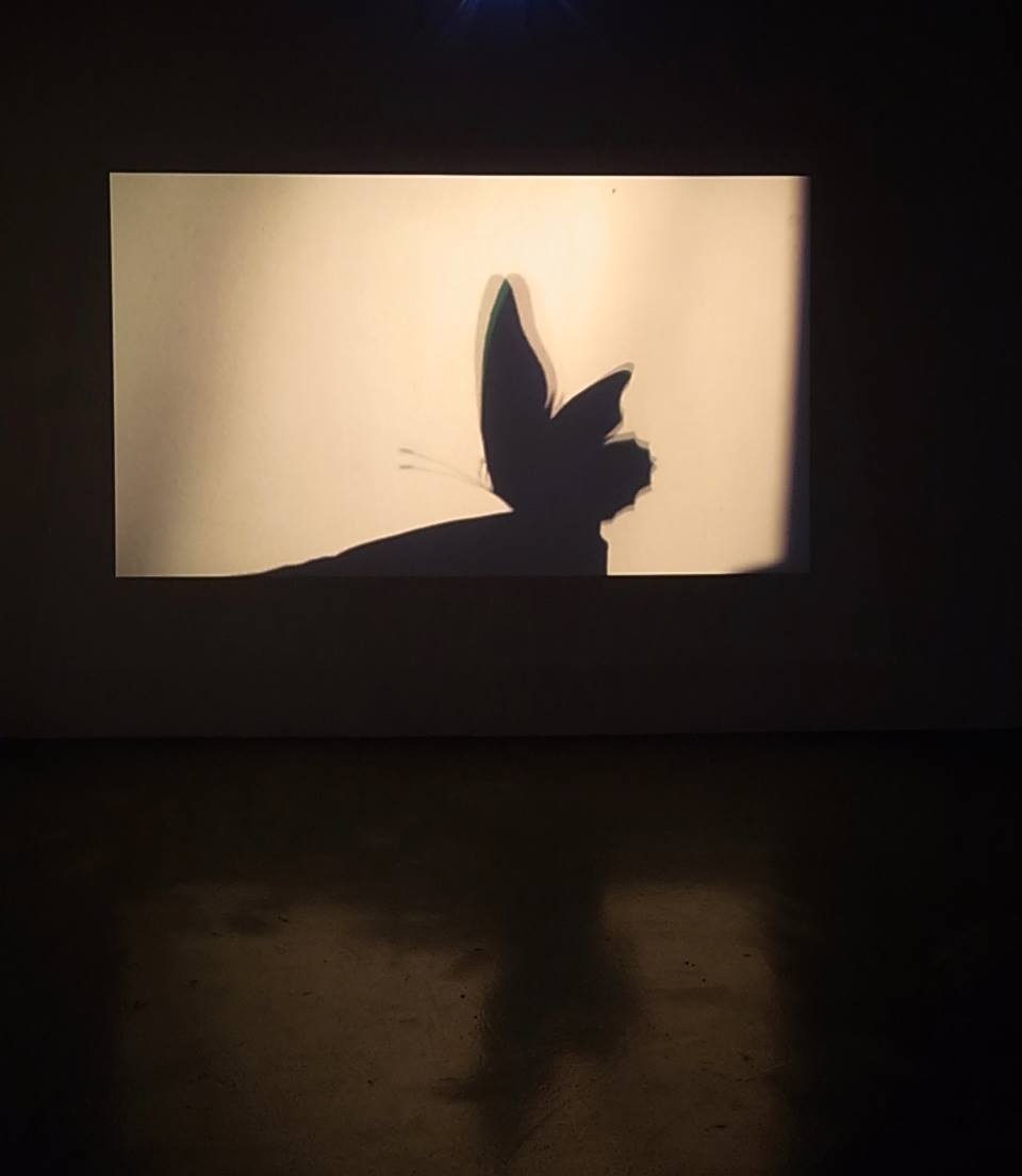 ---------_Summer-in-CA