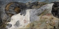 海浪與大白魚