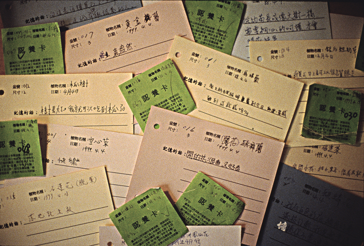 4.河上洲‧有綠洲-7