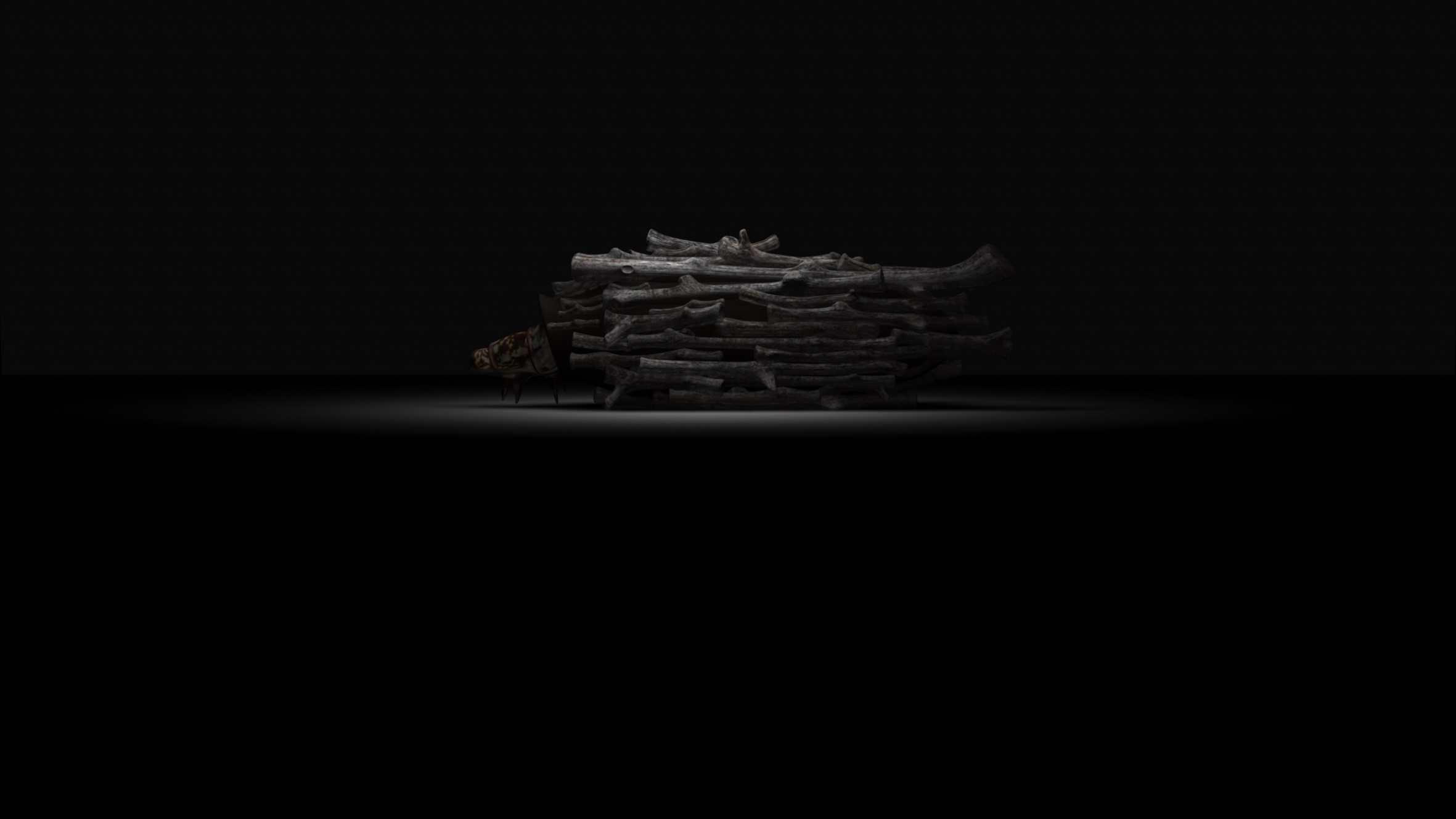 簑蟲
