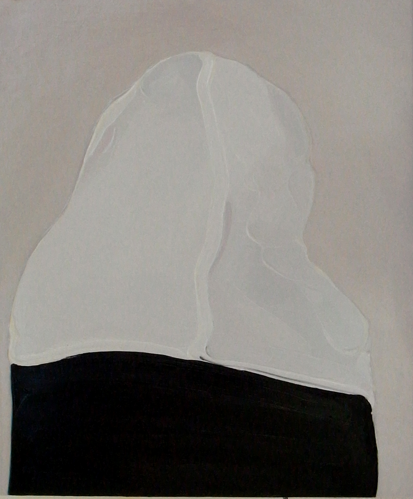 HHC-2009-12-1