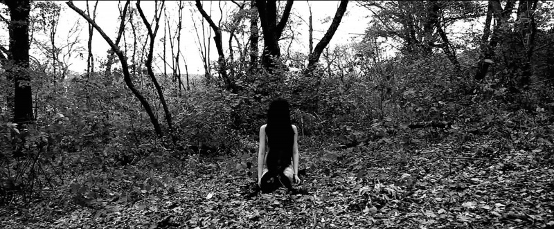 HYT-Growing-1