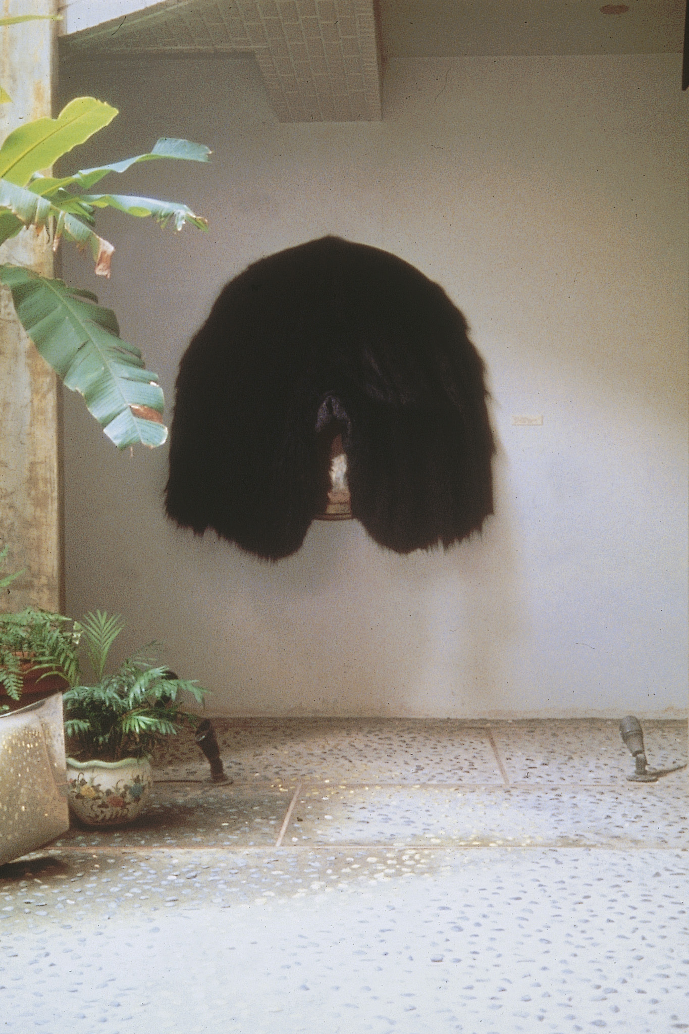 LSF-TSAHT-02