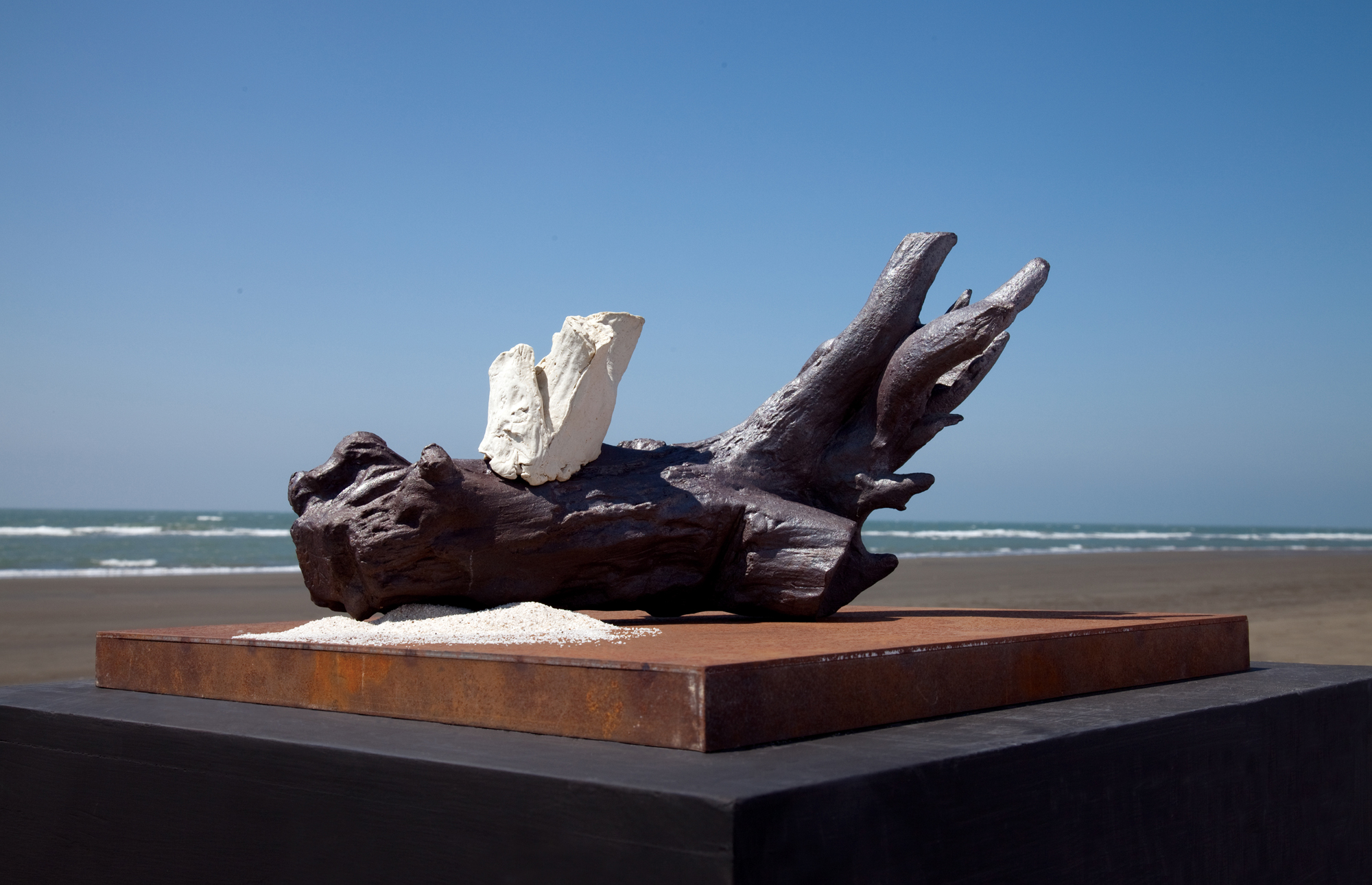 YYT-2003-02