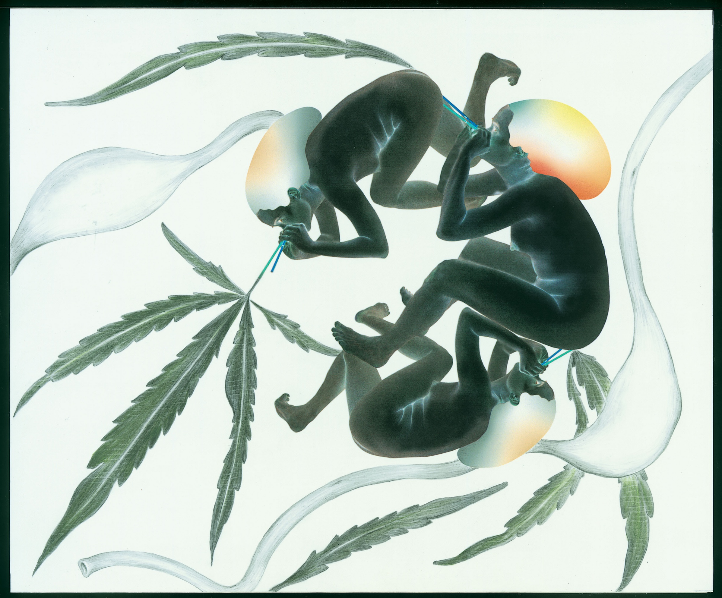 斯芬克斯的臨床路徑