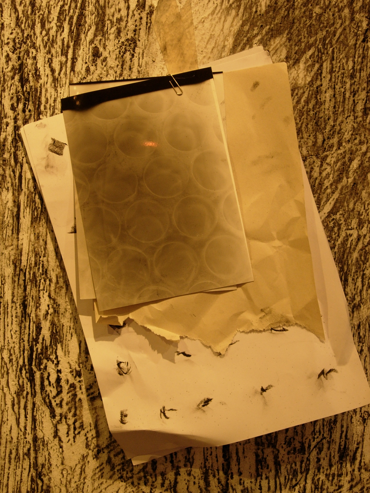 CKC-AFFMU-04陳冠彰-試圖從陌生之境中找尋熟悉-04