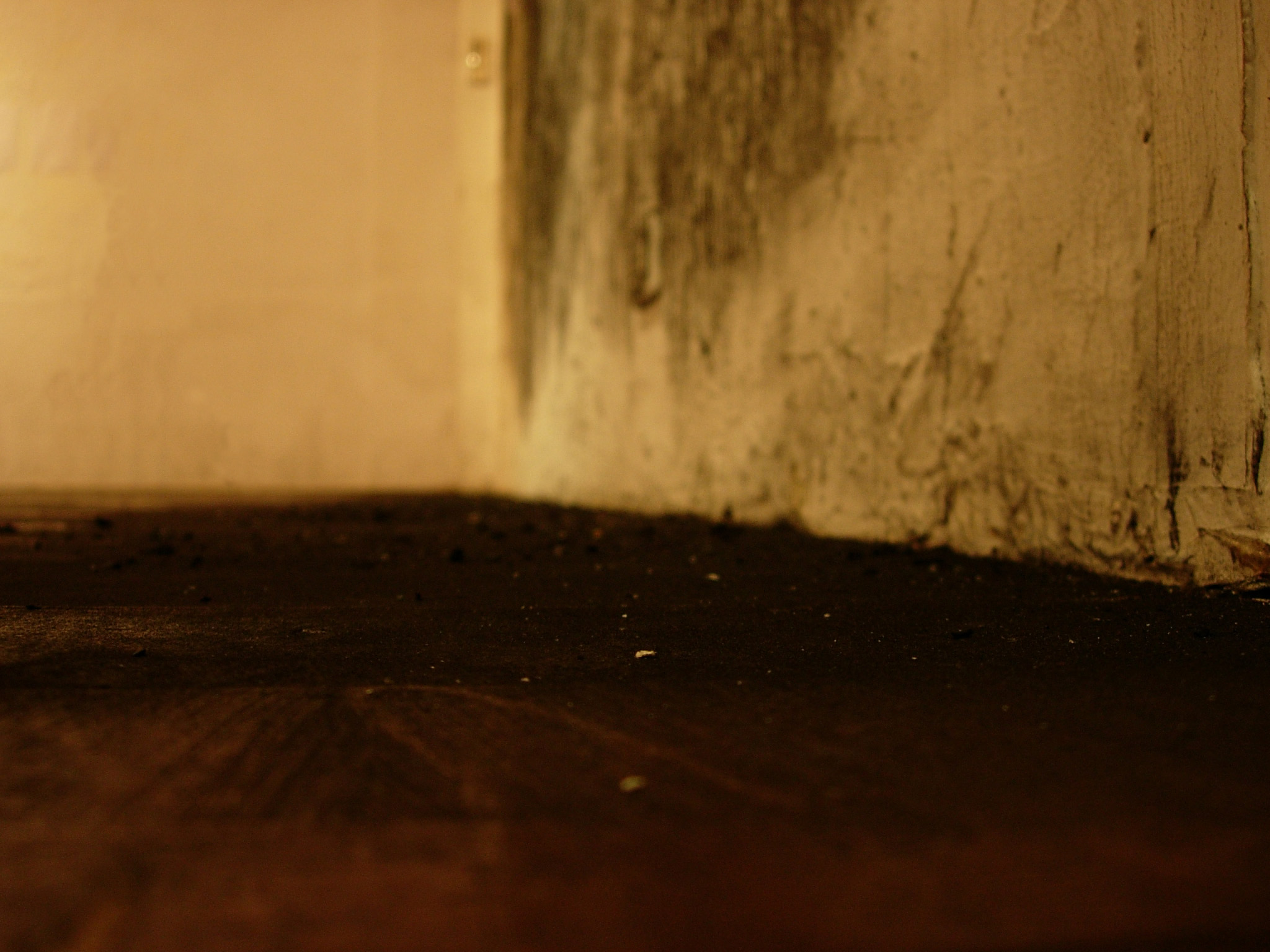 CKC-AFFMU-06陳冠彰-試圖從陌生之境中找尋熟悉-06