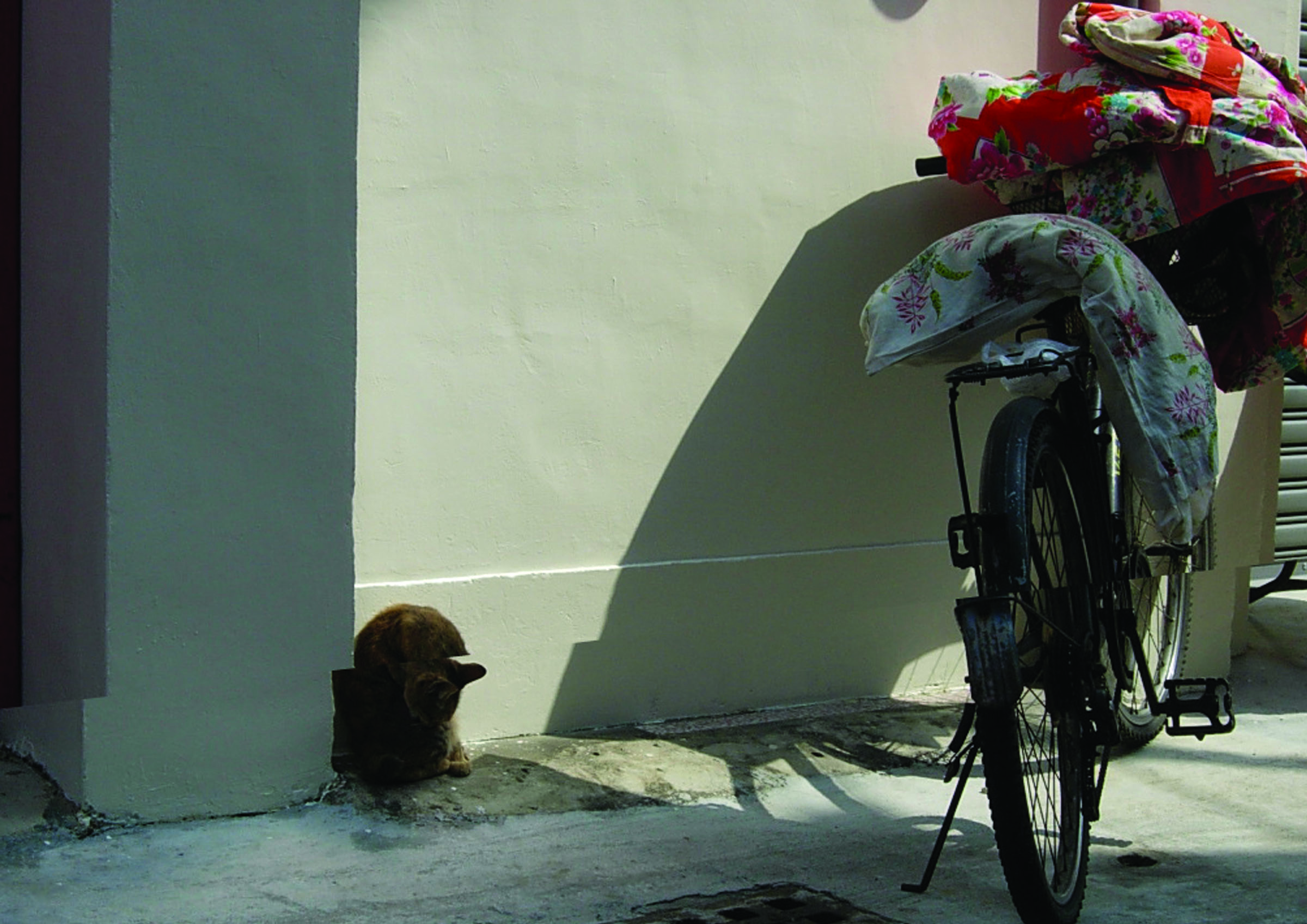 CKC-AND-05陳冠彰-美學筆記–斷裂性-05s