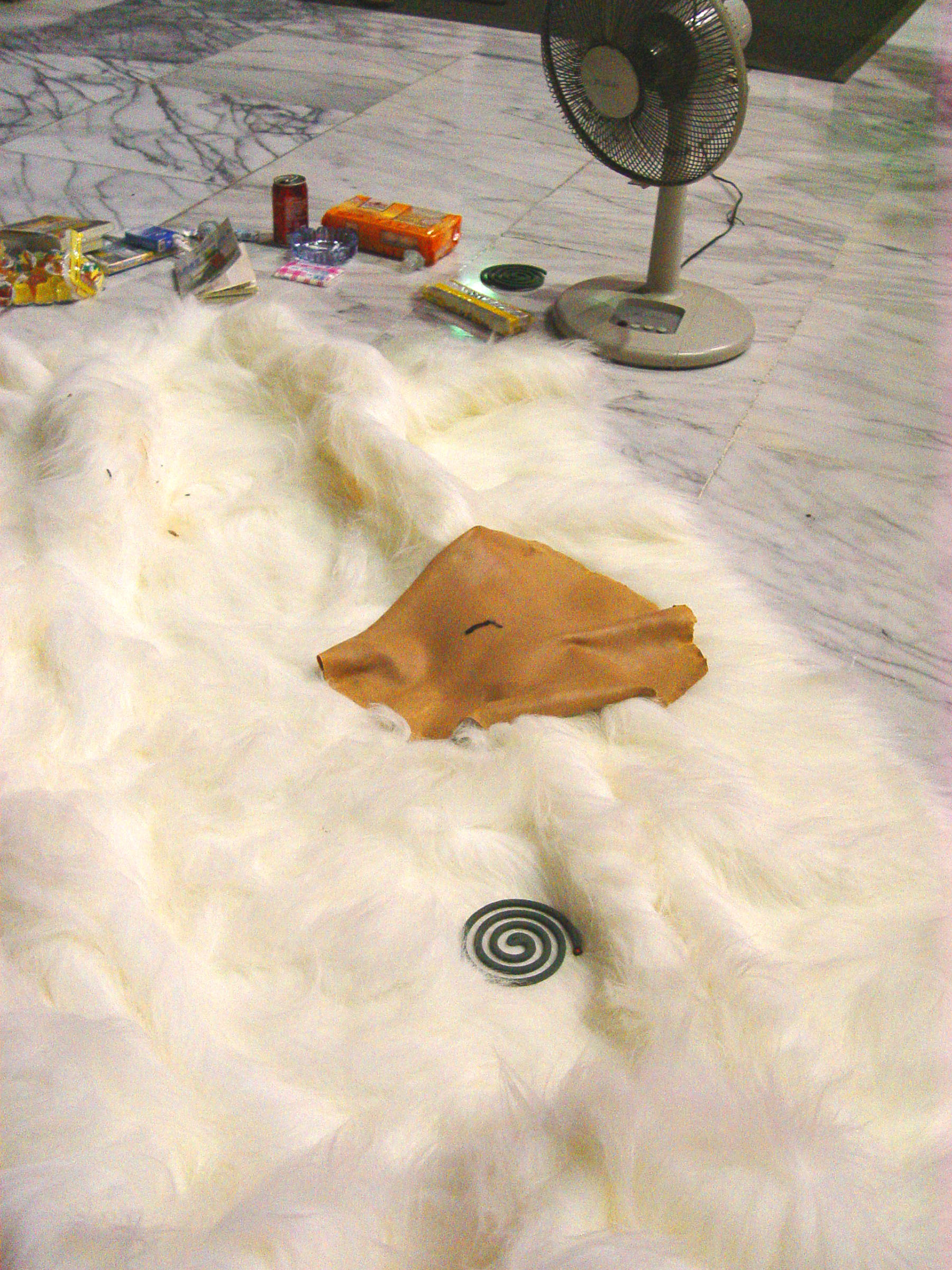 CSC-NH-6鄭詩雋-萬物靜觀-6s