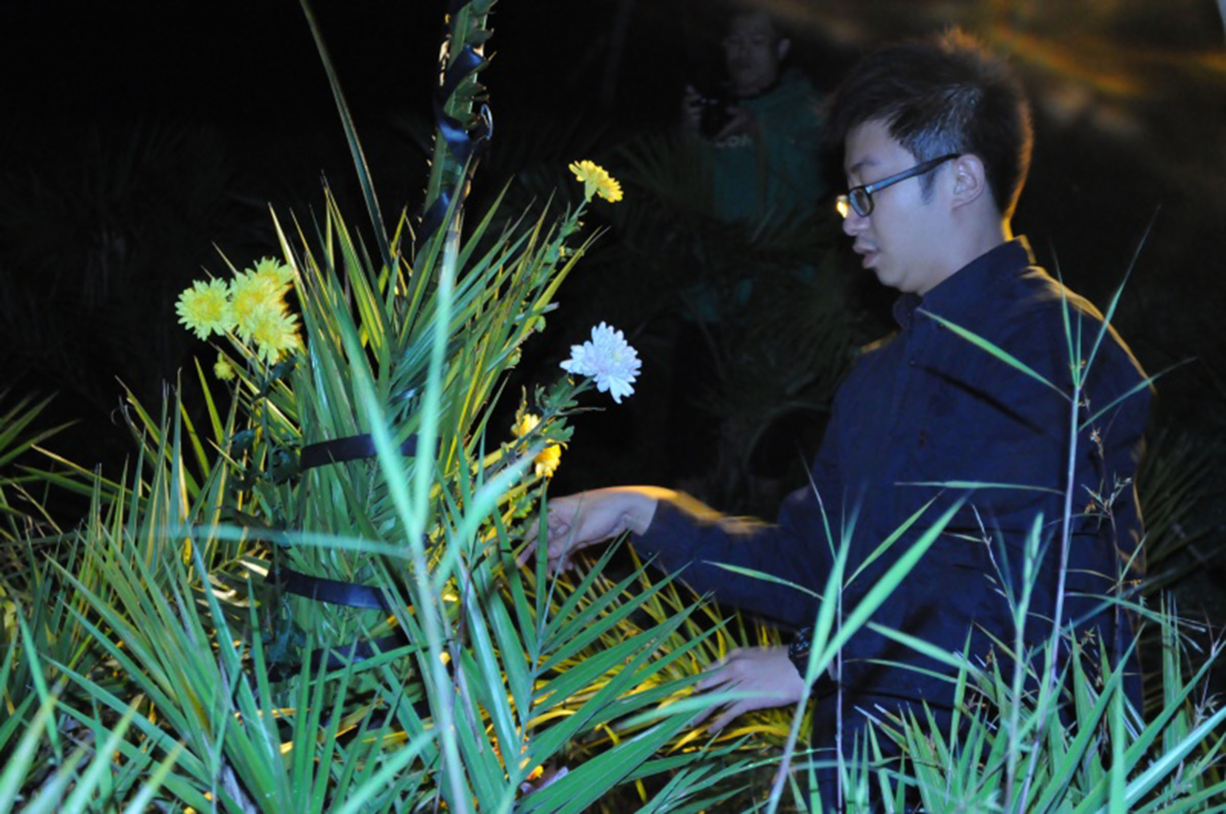 DYC-B-02-丁禹仲-花束-02s