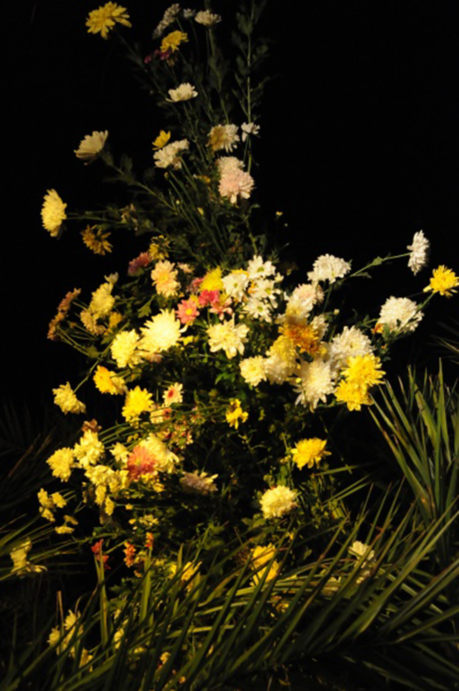 DYC-B-05-丁禹仲-花束-05s