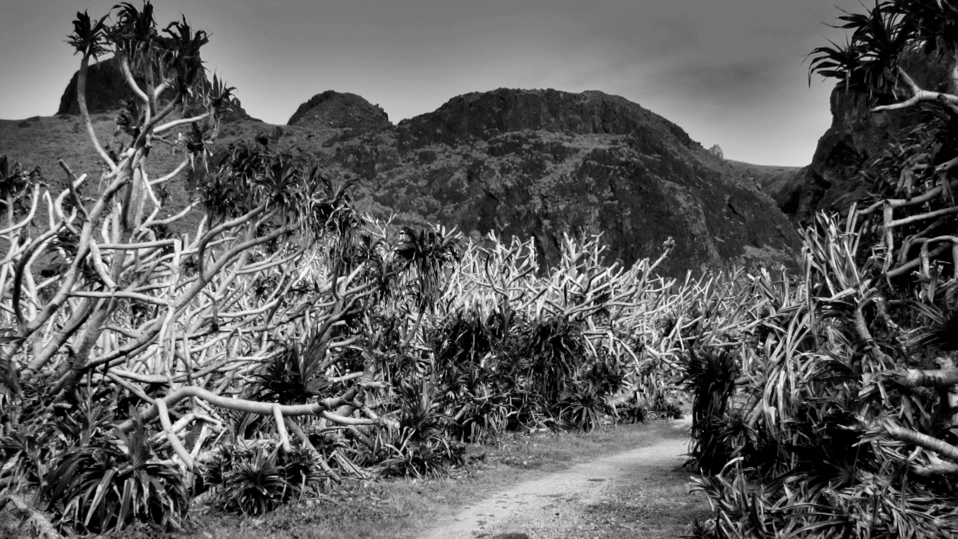 YJC-LLL-03姚瑞中-萬萬歲-03