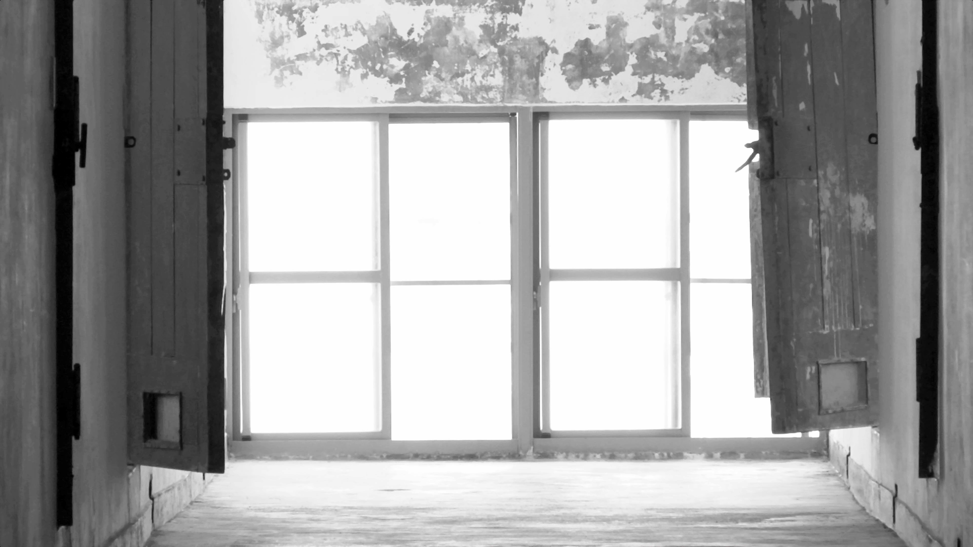 YJC-LLL-14姚瑞中-萬萬歲-14