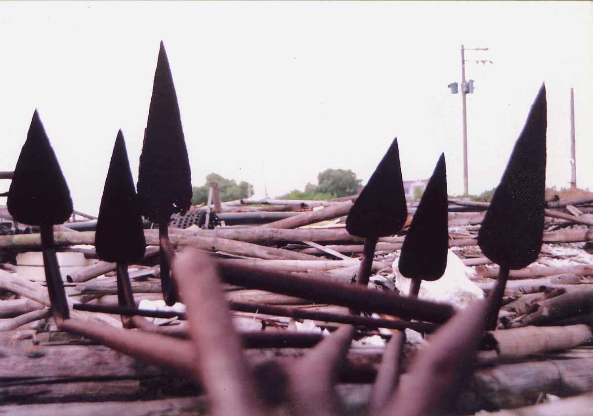 HCR-UG-01