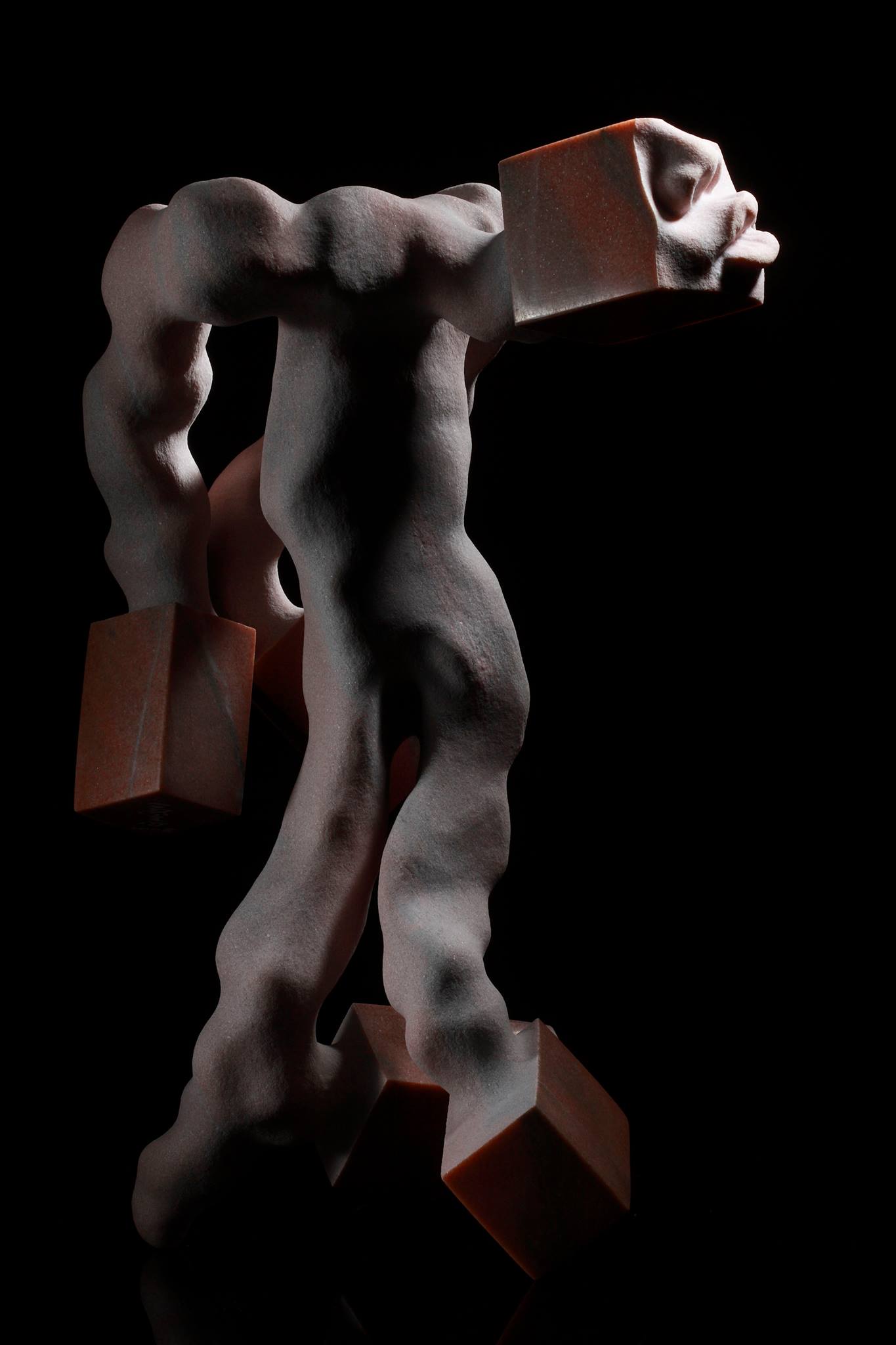 13524028_1335330159816726_523378979_o