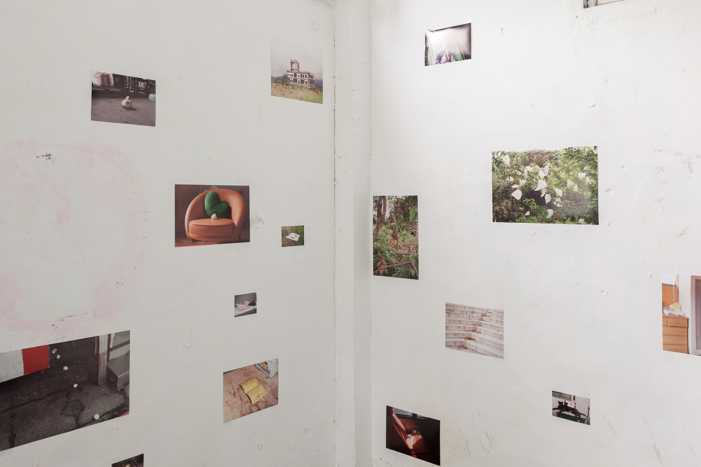 4陳以軒_靜物研究_展場圖片004