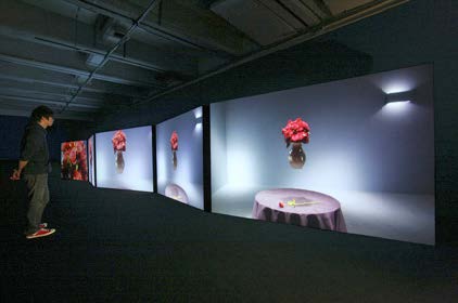 David Project III: Davidʼs Paradise