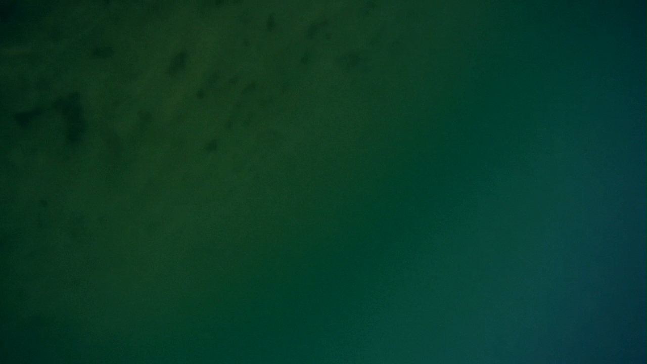2011_Throw-2-S05