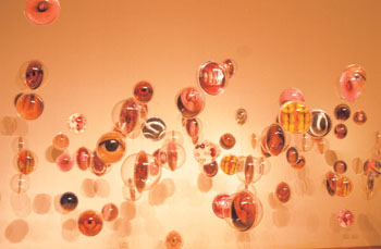 海洋裡的生命密碼II