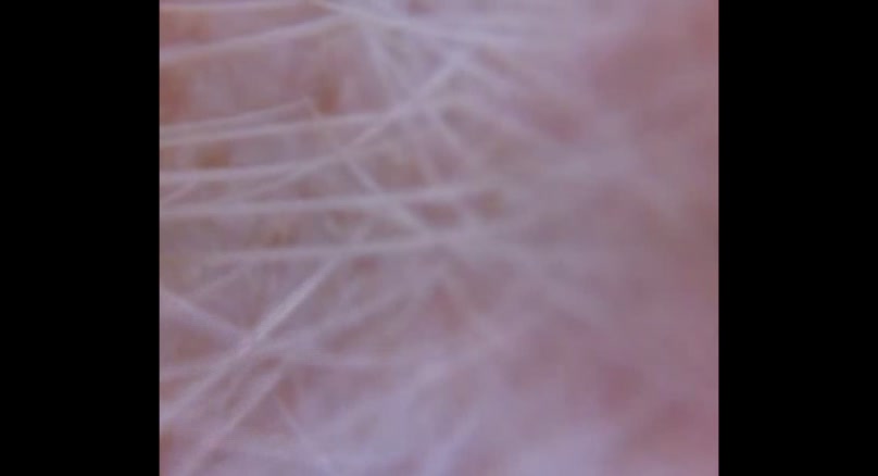 27紀錄片V-毛豬布-系列作品no.1-Documentary-V-Florgan-Cloth-no.1