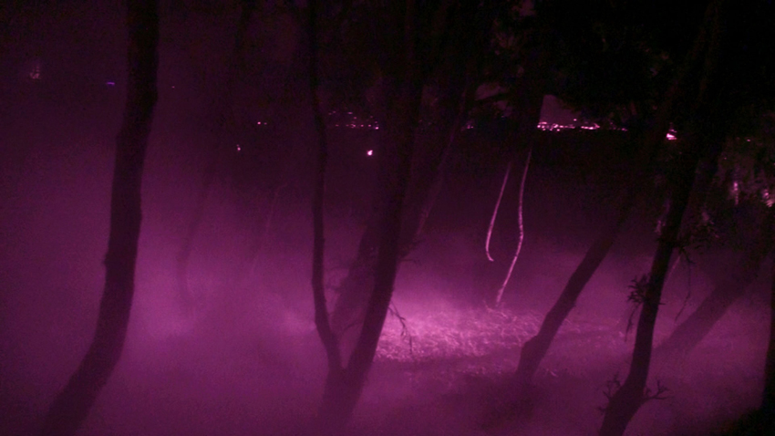 THE SMOKE