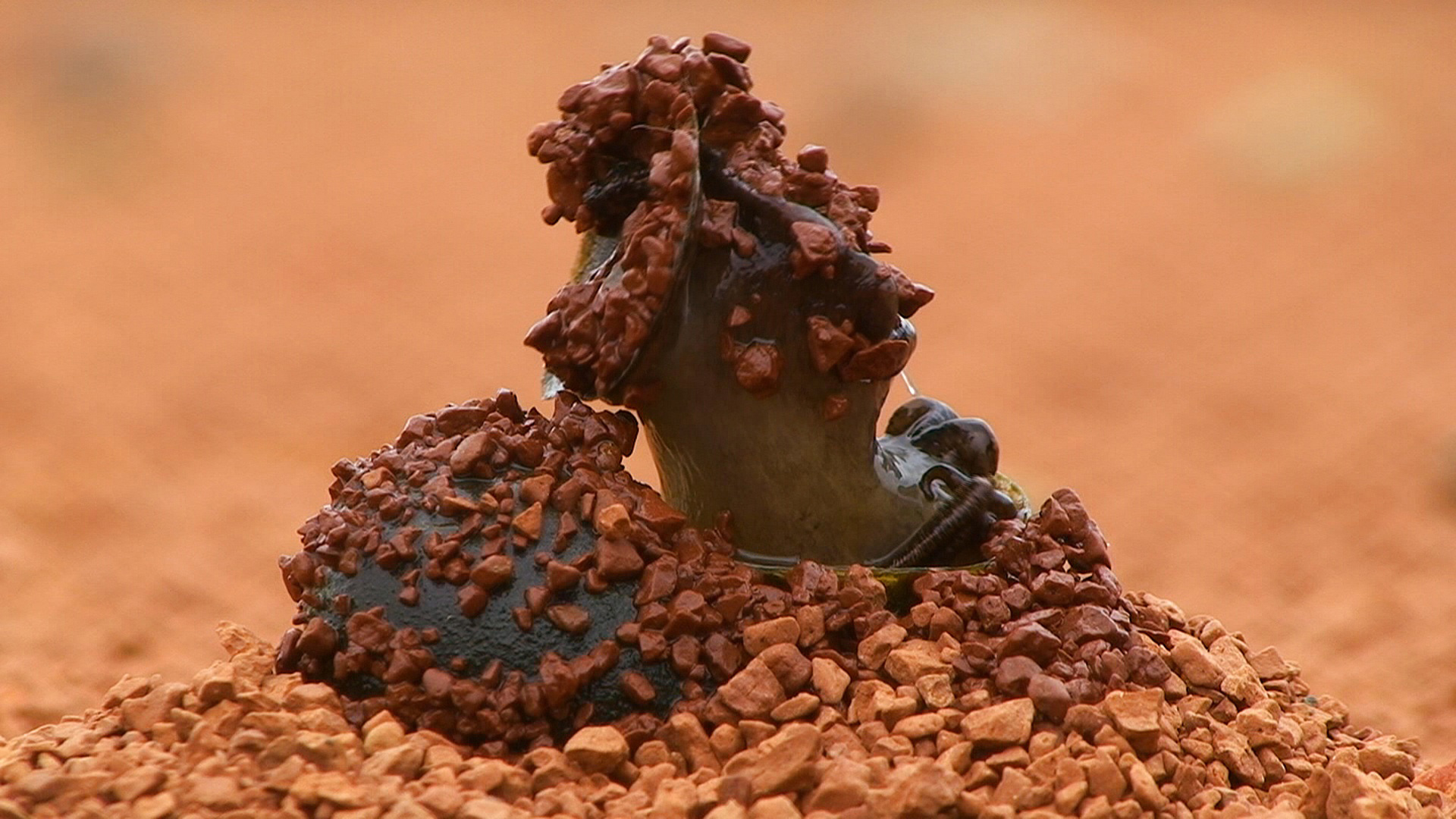 5_linkoumonster_snailzilla_205_2009_filmstill