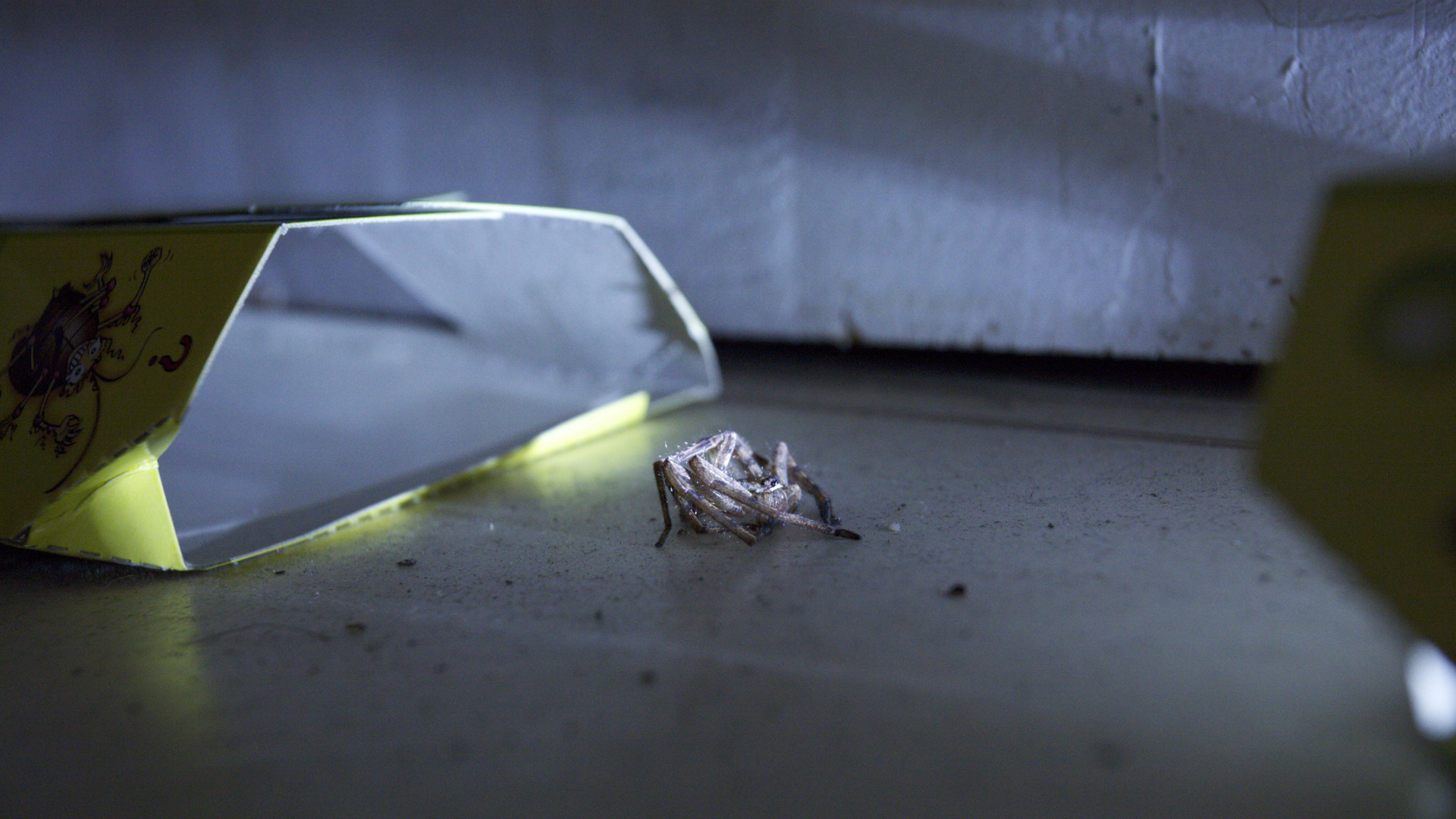 7_cockroach_talk_filmstill03