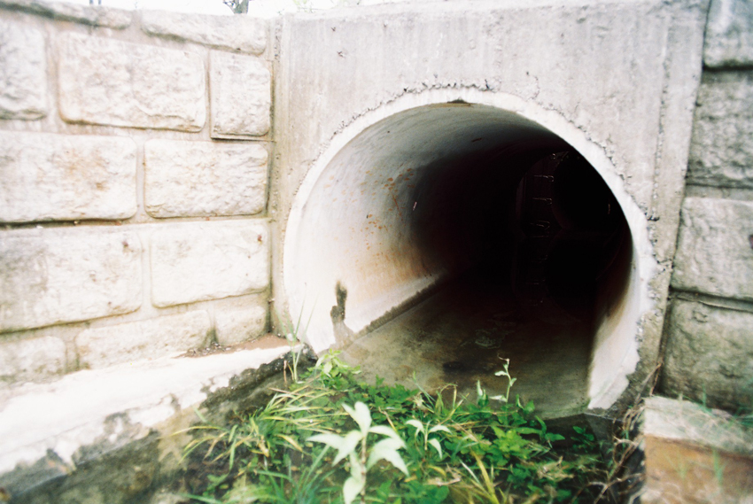 8_thelocalstories01