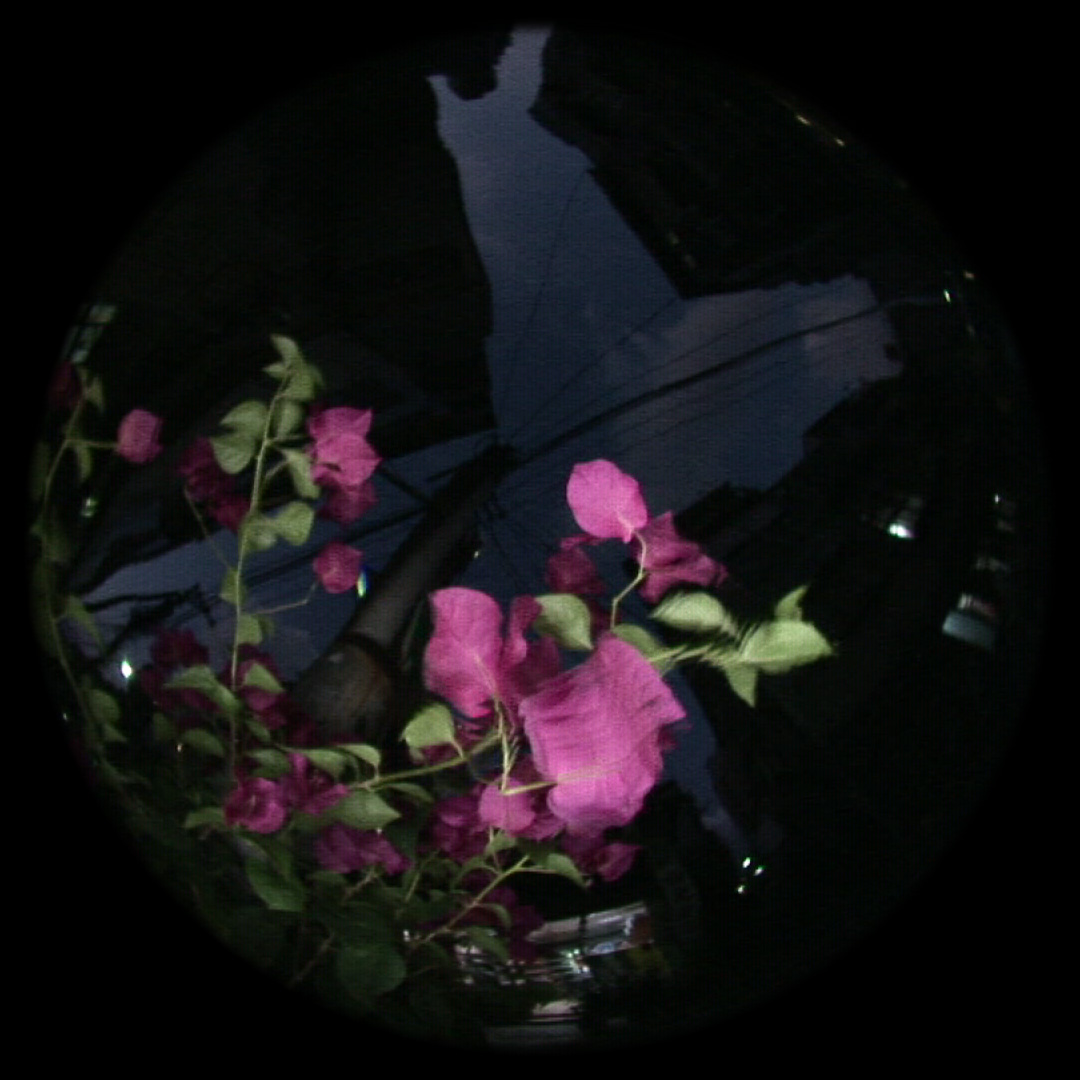 流自慢 – 漾