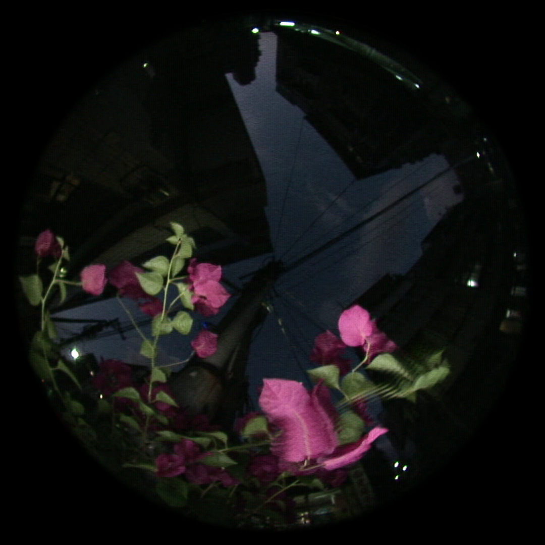 CCC-FP-R-03-1