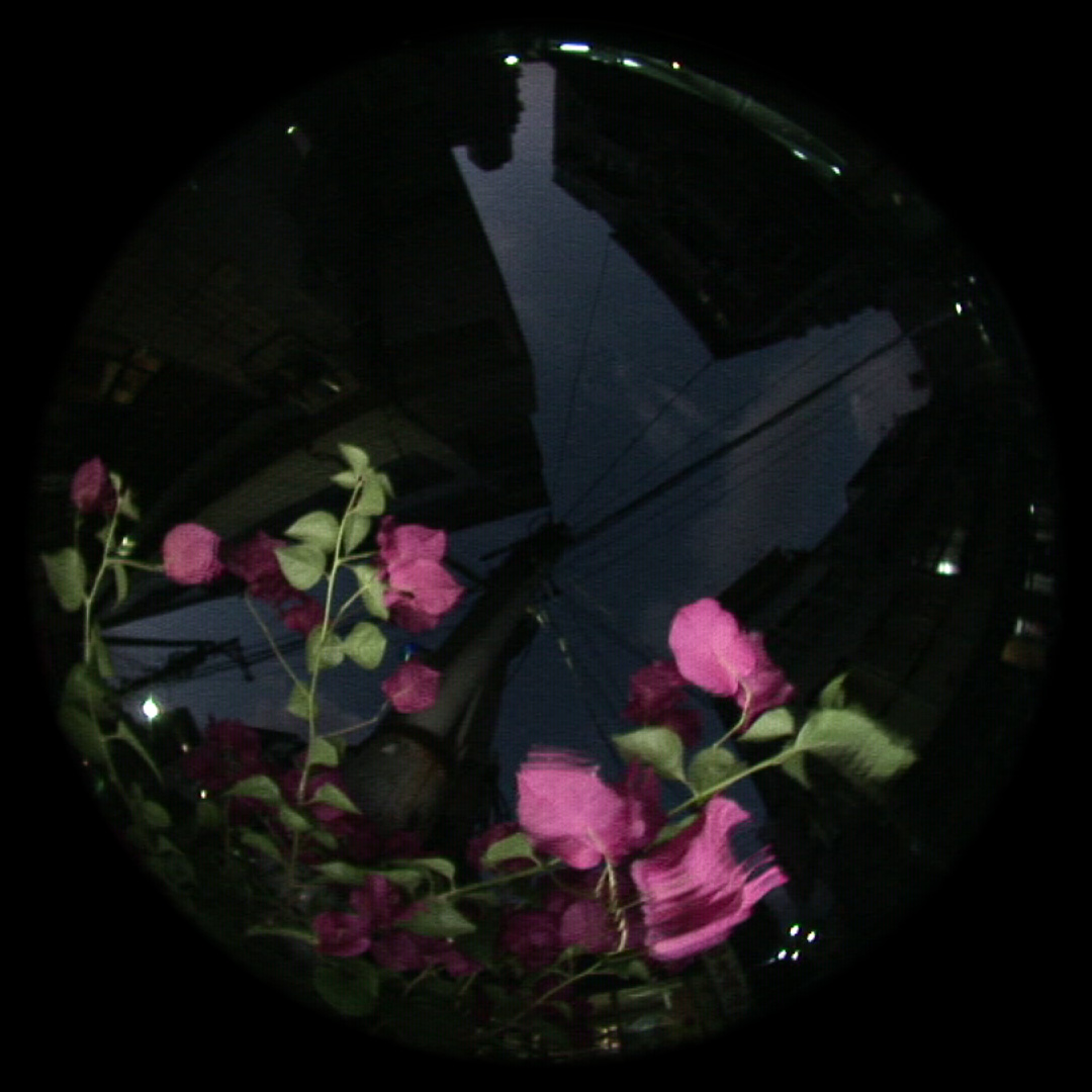 CCC-FP-R-04-1