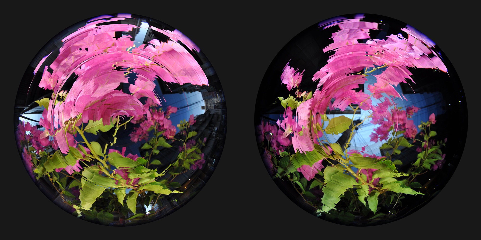 CCC-RUPPLE-02-1