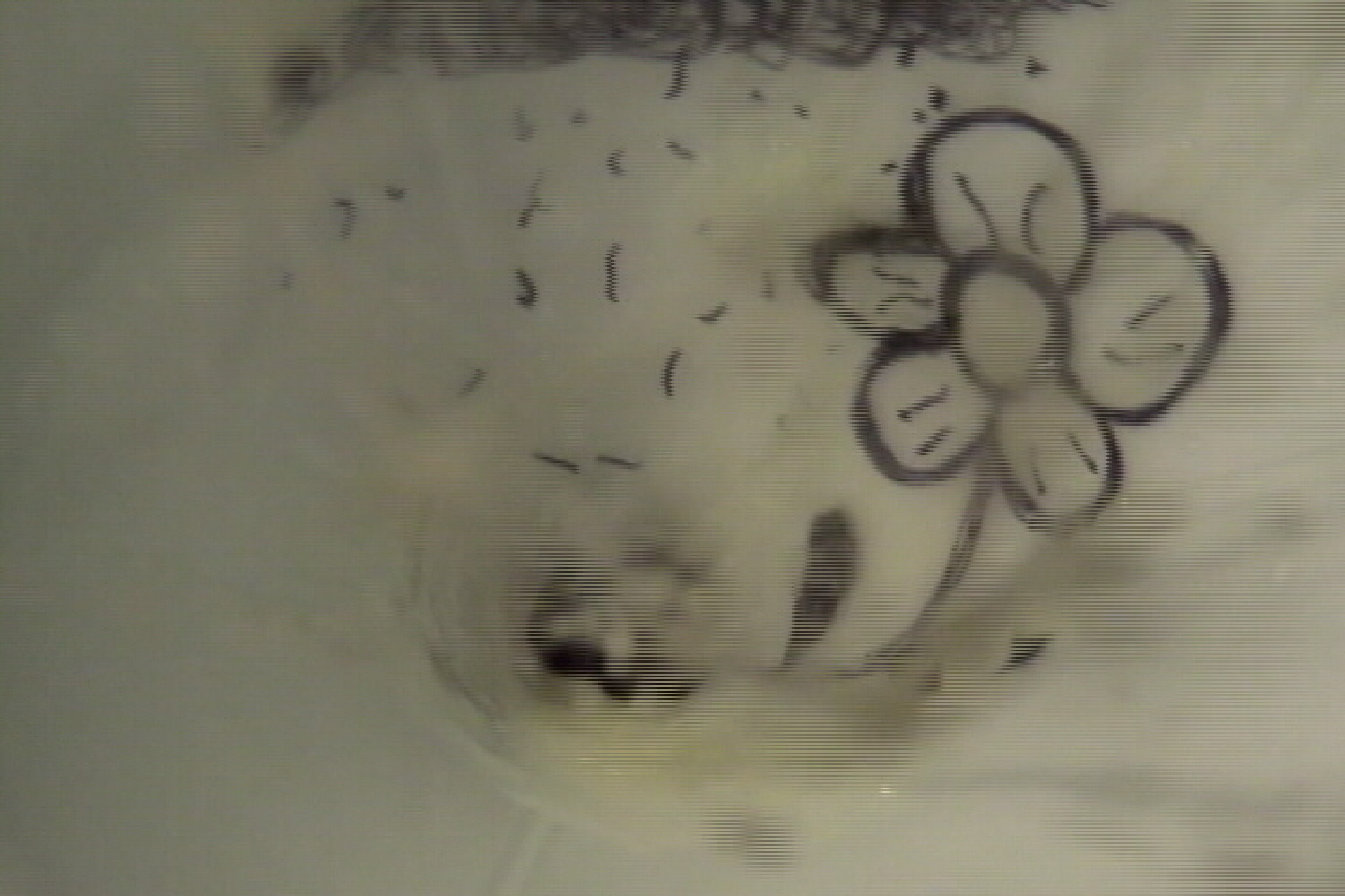 CSC-TNFITW-6鄭詩雋-天下第一斗-6