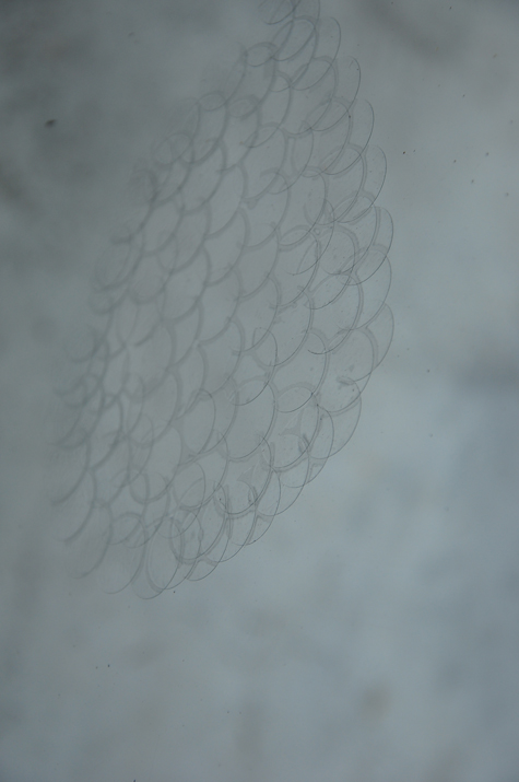 CYP-Floating-Condition2010-4