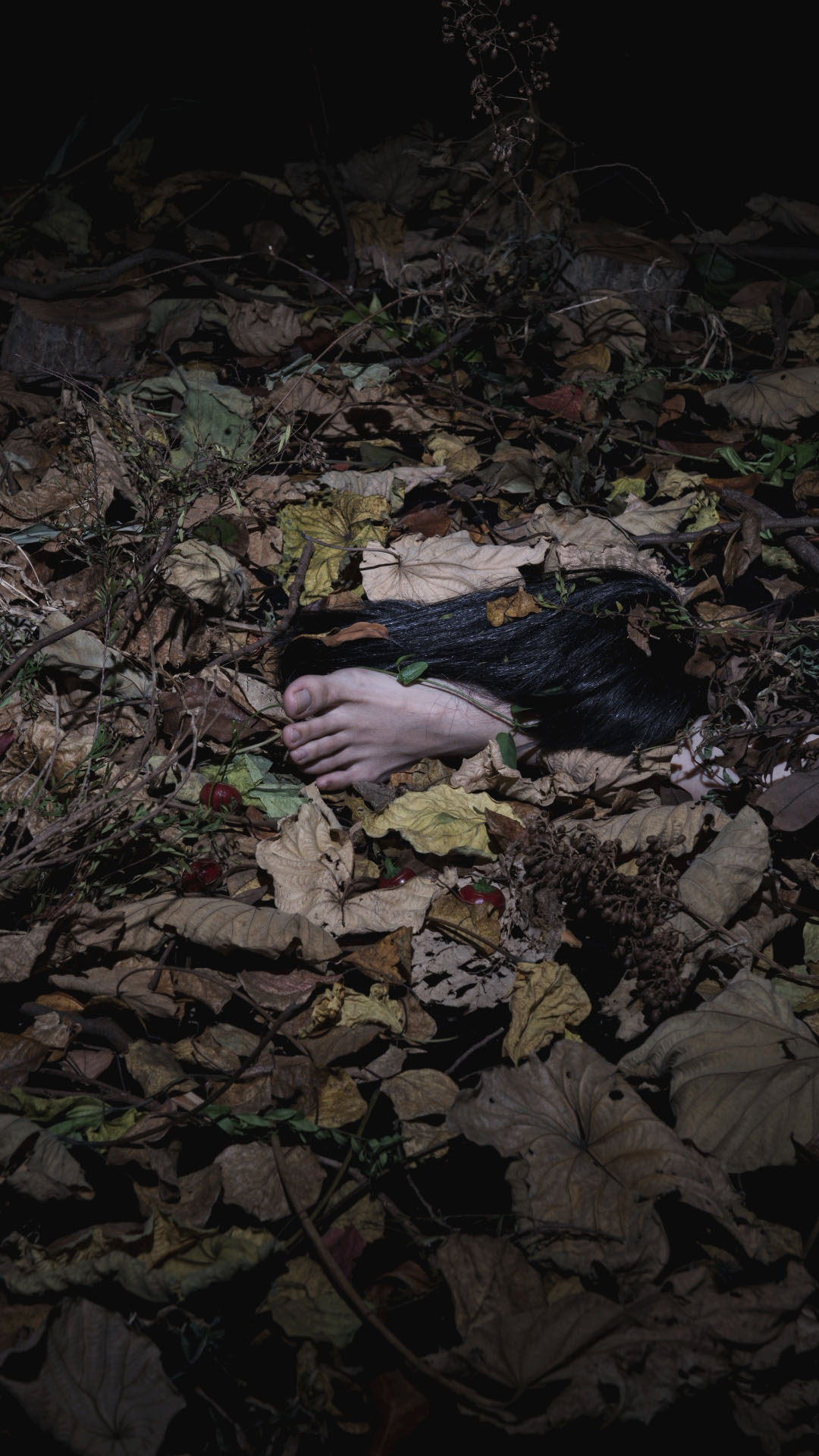 Fragment-2_01