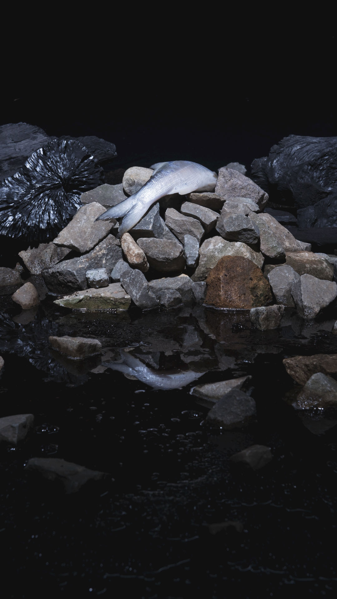Fragment-5_01