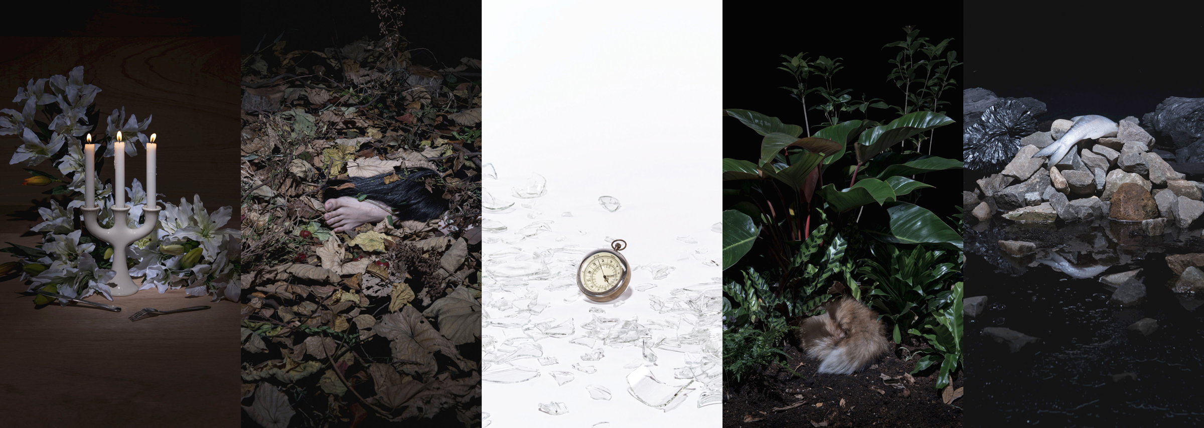 Fragment-series_01