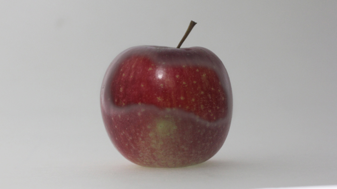 HHS-TimeSculpting-Project-Apple02