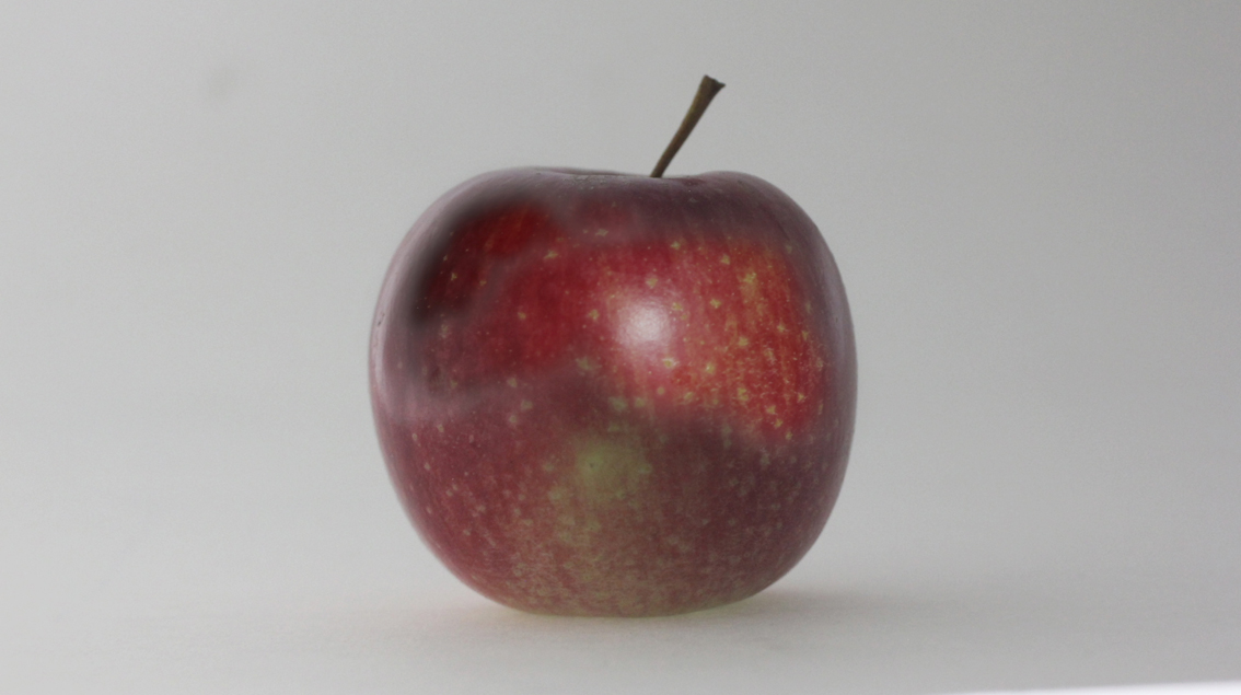 HHS-TimeSculpting-Project-Apple03
