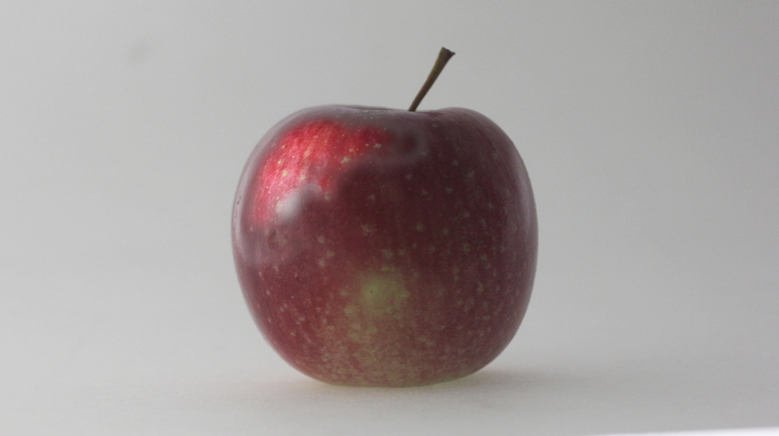 HHS-TimeSculpting-Project-Apple04